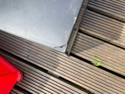 Photo of free Fish tank (Wollaton NG9) #2