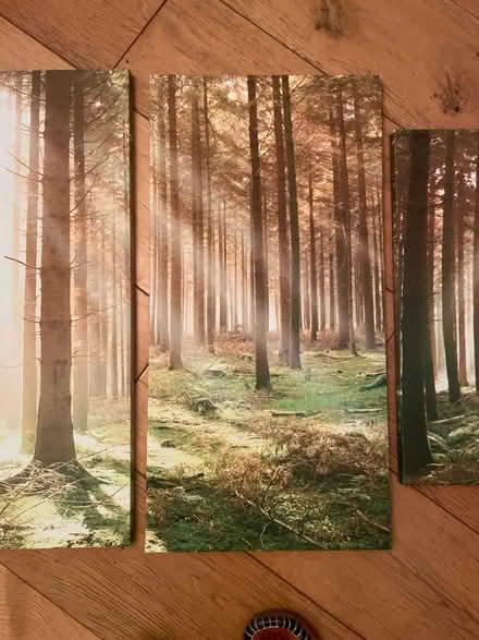 Photo of free Four piece art set (Brixton) #4