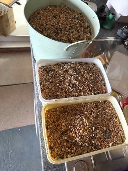 Photo of free Bird food (Wickford) #1