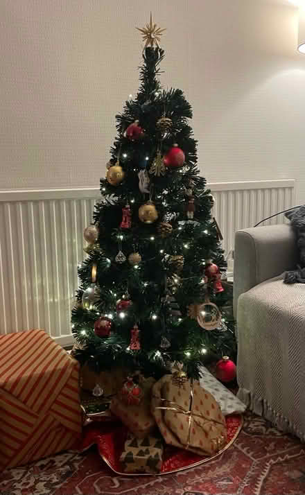 Photo of free 4ft Christmas Tree With Lights (Brentry, BS10) #1