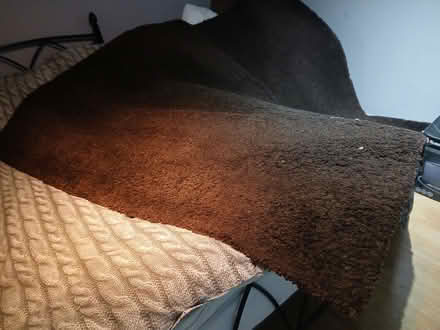Photo of free Large brown ikea rug ADUM (Cutteslowe OX2) #2