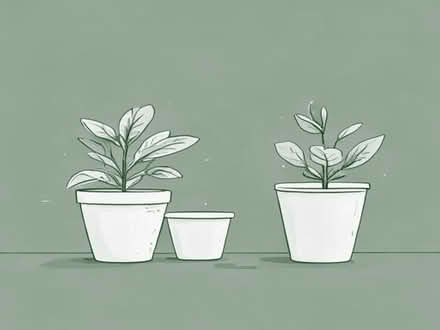 Photo of Large planters (Tinshill LS16) #1