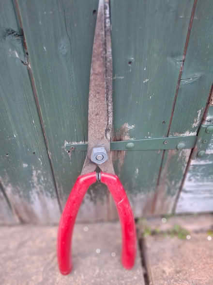 Photo of free Garden shears (Rusthall TN3) #1