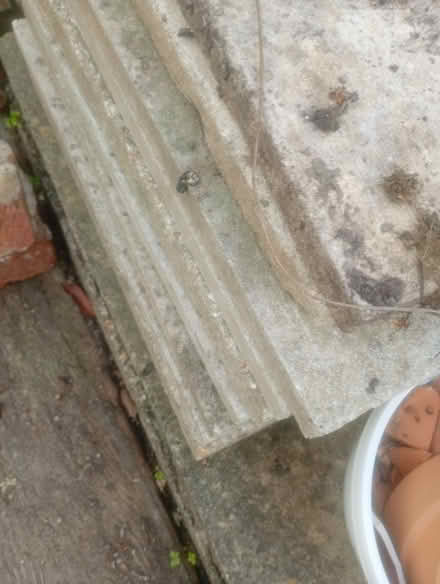 Photo of free Paving Stones (Haywards Heath RH16) #1