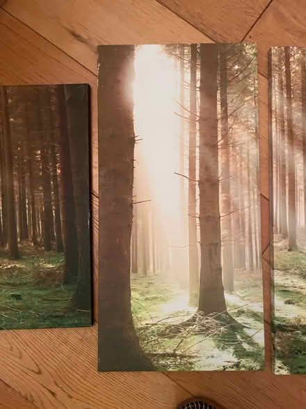 Photo of free Four piece art set (Brixton) #3