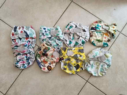 Photo of free 12 Littles and bloomz nappies (Letchworth SG6) #1