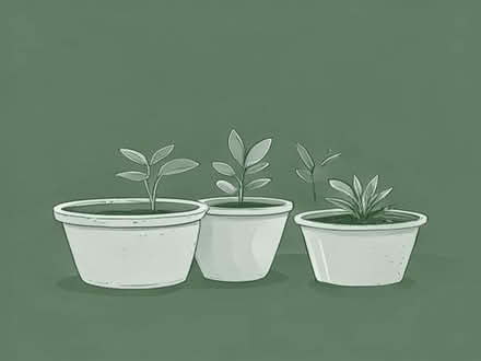Photo of Garden planters/ pots (Elterwater LA22) #1