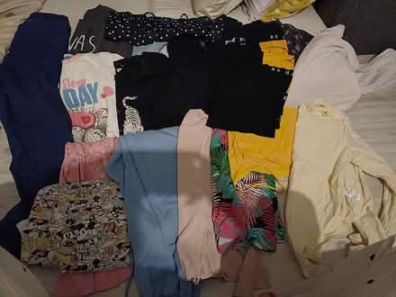 Photo of free Ladies clothes (Killingworth NE12) #1