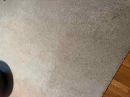 Photo of free Large carpet remnant (Near Montrose Rd and 270) #1