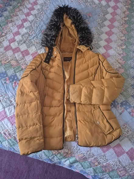 Photo of free Coat womens (Worsley m27) #1