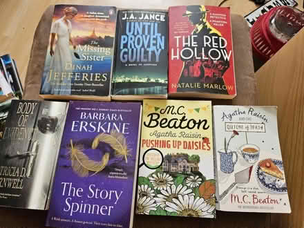 Photo of free Bags of fiction books (Aylesbury HP20) #1