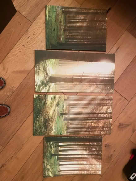 Photo of free Four piece art set (Brixton) #1