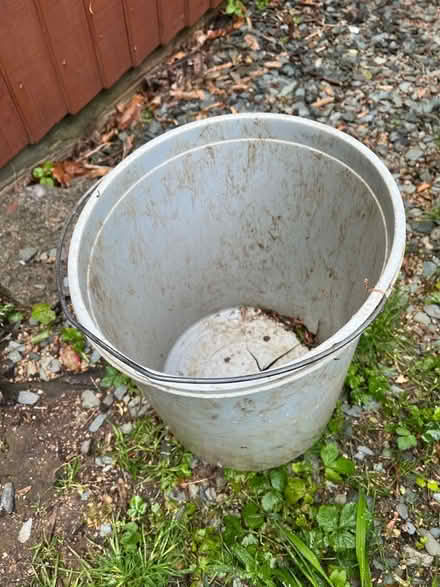 Photo of free Bucket (Weston Park BA1) #1