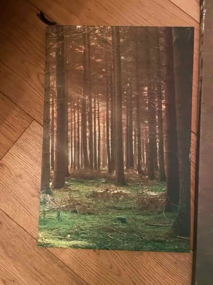 Photo of free Four piece art set (Brixton) #2