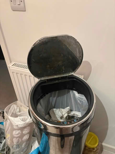Photo of free Tall kitchen bin (Belle Vale L25) #3