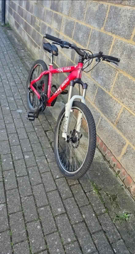 Photo of free bike (UB1) #1