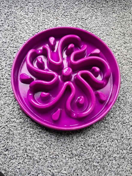 Photo of free Dog feeder (Belper DE56) #1