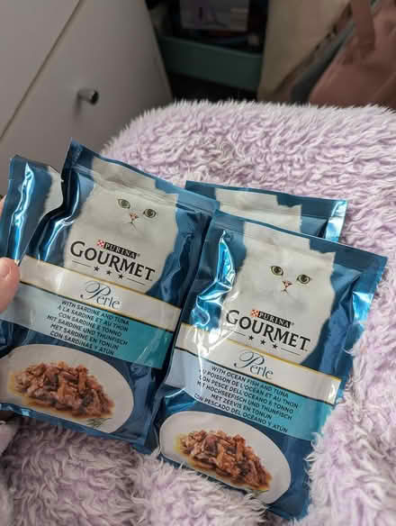 Photo of free Cat Food Sachets (morecambe LA4) #1