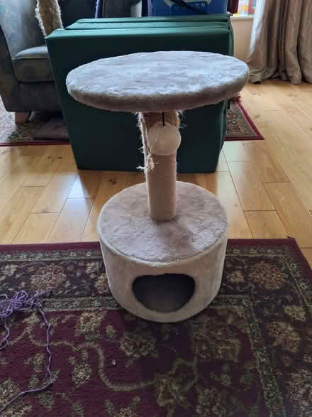 Photo of free Cat play/scratch thing (Etwall DE65) #1
