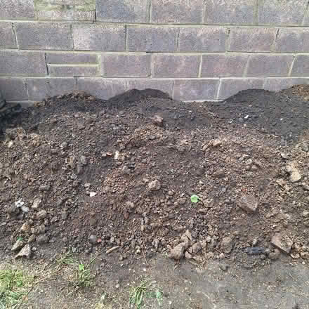 Photo of free Soil from garden (Southall) #4