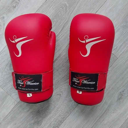 Photo of free Martial arts sparring gloves (Ealing Pitshanger W5) #1