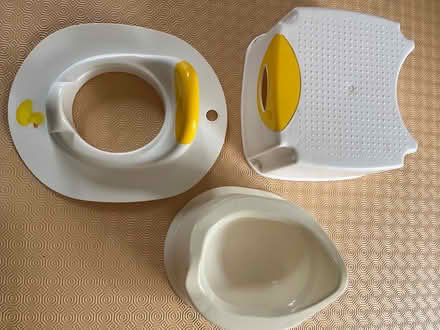 Photo of free Childs potty, toilet seat and step (Leverstock Green HP2) #1