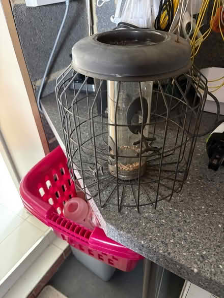 Photo of free Bird feeder and bird food (Wickford) #2