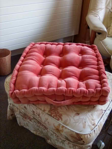 Photo of free Booster cushion (High Hurstwood TN22) #1