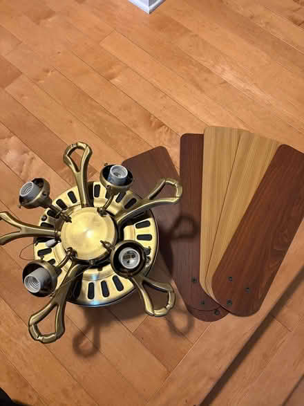 Photo of free Ceiling fan with lights (K2J 1S9) #3
