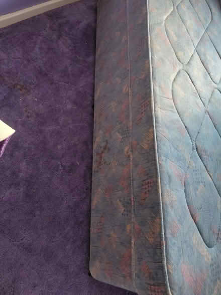 Photo of free Single bed and mattress (redditch B97) #3