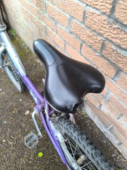 Photo of free Girls bike (Wiston ML12) #3
