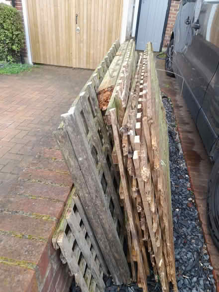 Photo of free Square trellis (Wimbledon Village SW19) #1