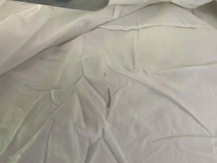 Photo of free King Size valance (North Walsham NR28) #2
