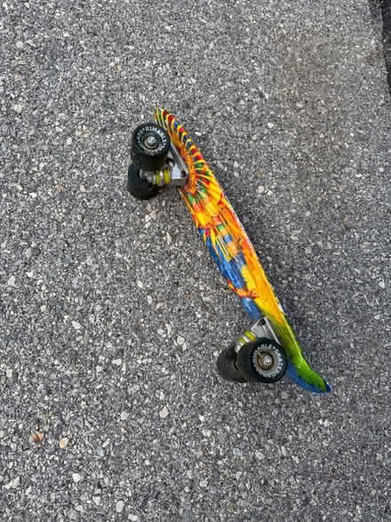 Photo of free Small Skateboard (West Chester Borough) #2