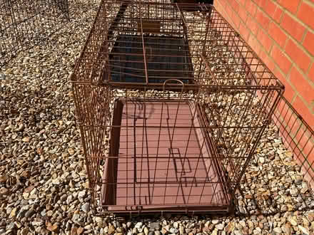 Photo of free 2.Dog crates (Hindhead GU26) #1