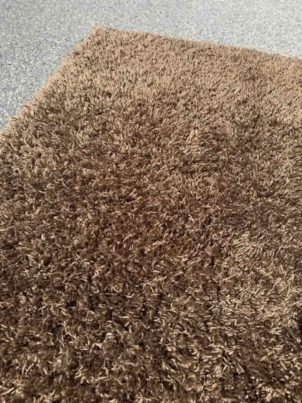 Photo of free Brown Shag Rug - good condition (West Chester Borough) #2