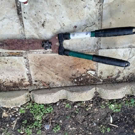 Photo of free Garden shears (Sandy Lane GU14) #1