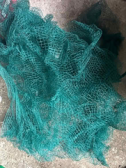 Photo of free green garden netting (Sudbury CO10) #1