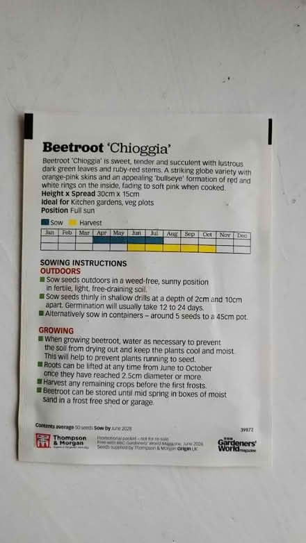Photo of free New beetroot seeds (chorley PR6) #2