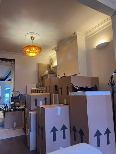 Photo of free assorted size boxes for packing (SE12 8qq) #2