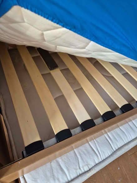 Photo of free 2 single beds with pull-out mattresses underneath (Tremain SA43) #1
