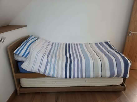 Photo of free 2 single beds with pull-out mattresses underneath (Tremain SA43) #2