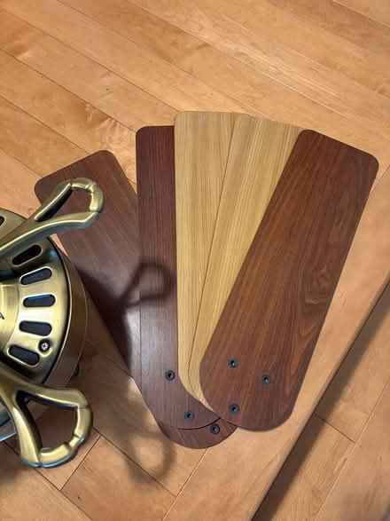 Photo of free Ceiling fan with lights (K2J 1S9) #2