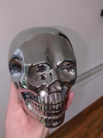 Photo of free Metal skull (Gatley SK8) #1