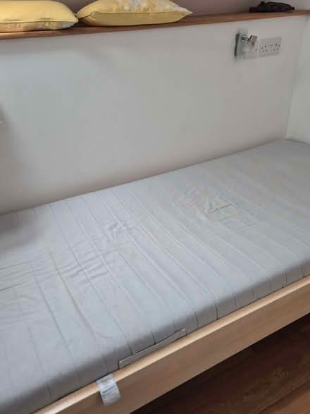 Photo of free 2 identical single beds. (Tremain SA43) #3