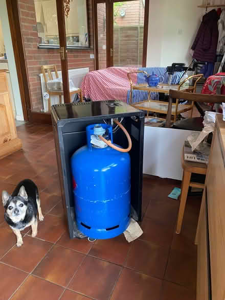 Photo of free Gas Fire (Sittingbourne ME10) #1