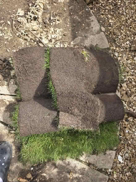 Photo of free 2 and a bit rolls of turf (West Oxfordshire OX28) #1