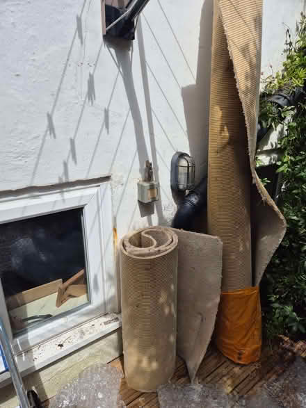 Photo of free Old beige carpet (Hanover BN2) #2