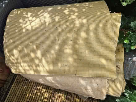 Photo of free Old beige carpet (Hanover BN2) #1