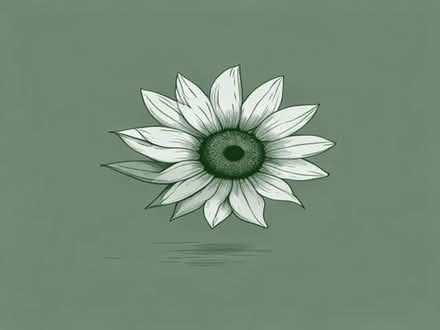 Photo of free Black oil sunflower seedsw (South Woodchester GL5) #1